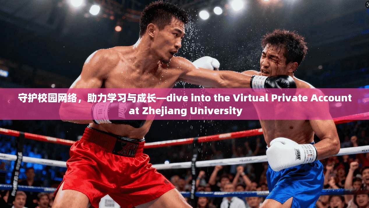 守护校园网络，助力学习与成长—dive into the Virtual Private Account at Zhejiang University