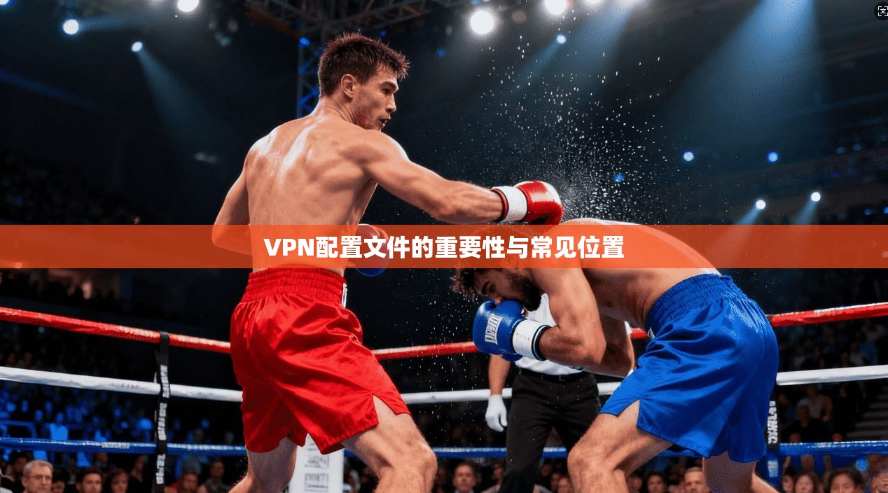 VPN配置文件的重要性与常见位置