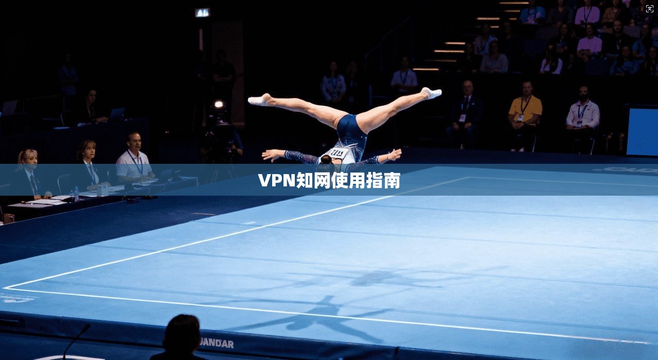 VPN知网使用指南