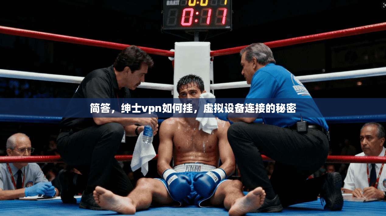 简答，绅士vpn如何挂，虚拟设备连接的秘密