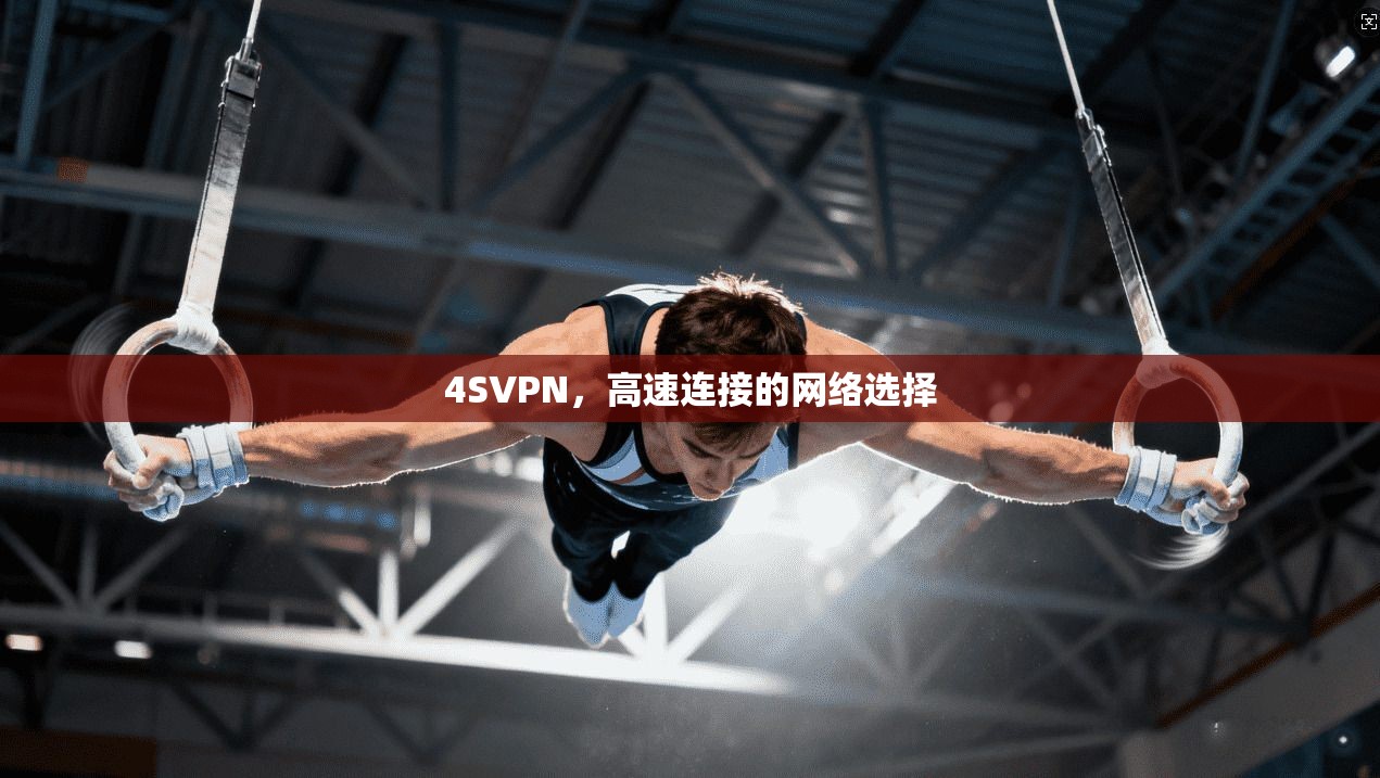 4SVPN，高速连接的网络选择