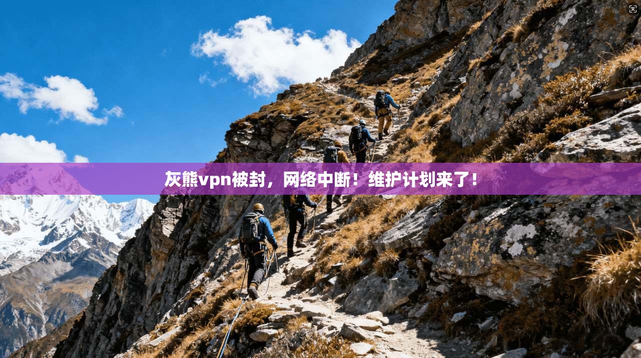 灰熊vpn被封，网络中断！维护计划来了！