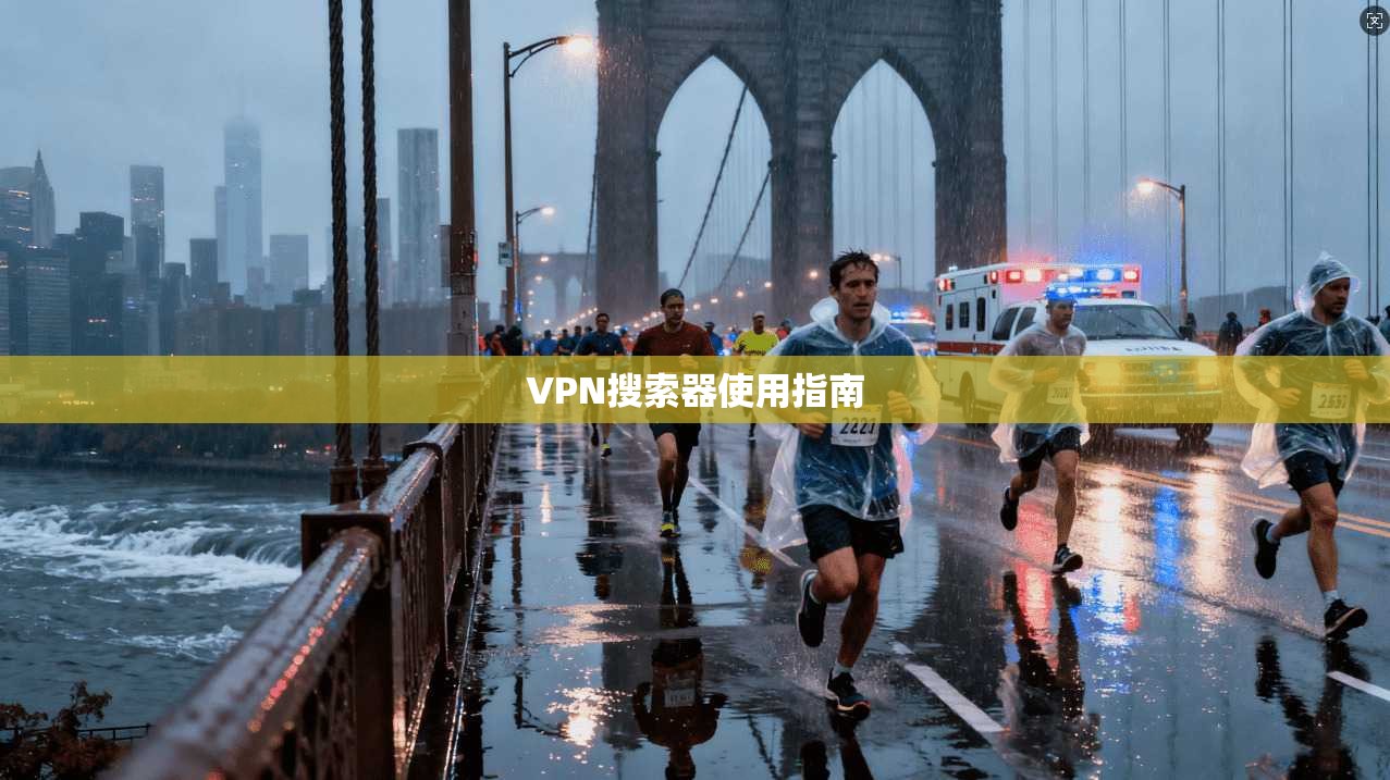 VPN搜索器使用指南
