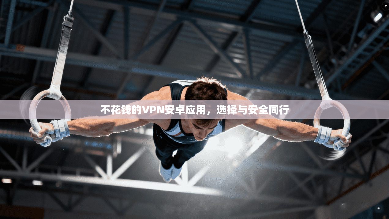 不花钱的VPN安卓应用，选择与安全同行