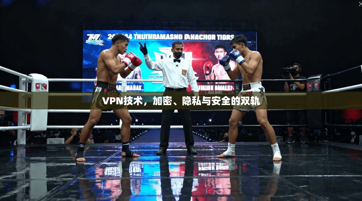 VPN技术，加密、隐私与安全的双轨