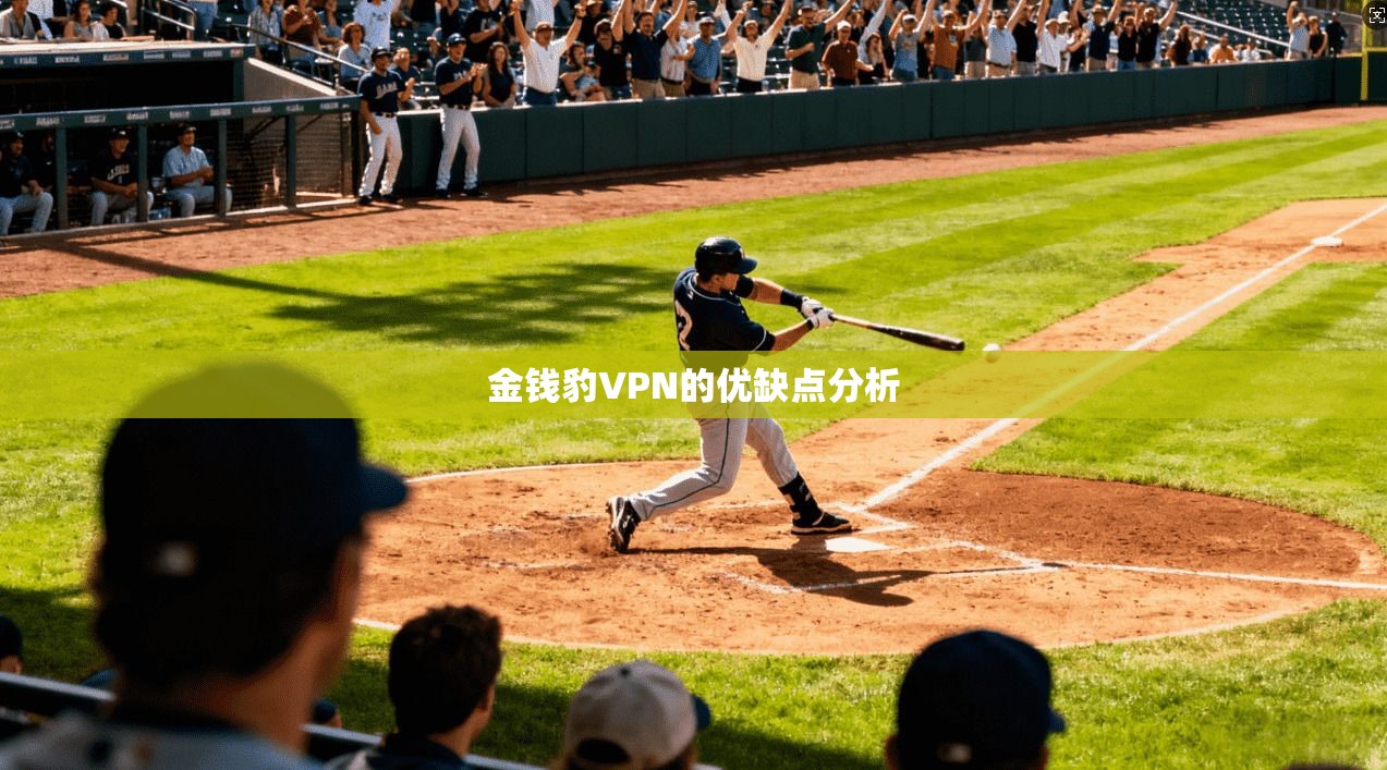 金钱豹VPN的优缺点分析