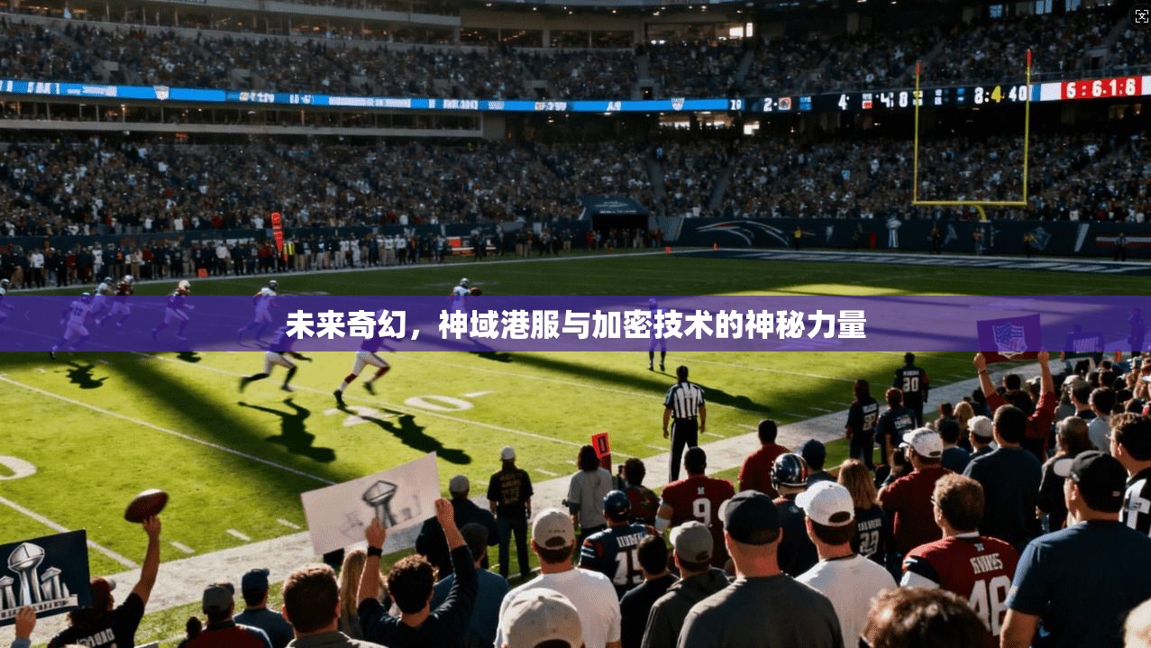 未来奇幻，神域港服与加密技术的神秘力量
