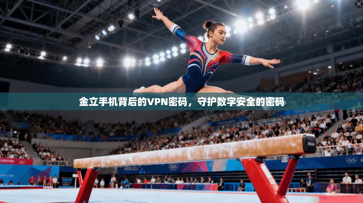 金立手机背后的VPN密码，守护数字安全的密码