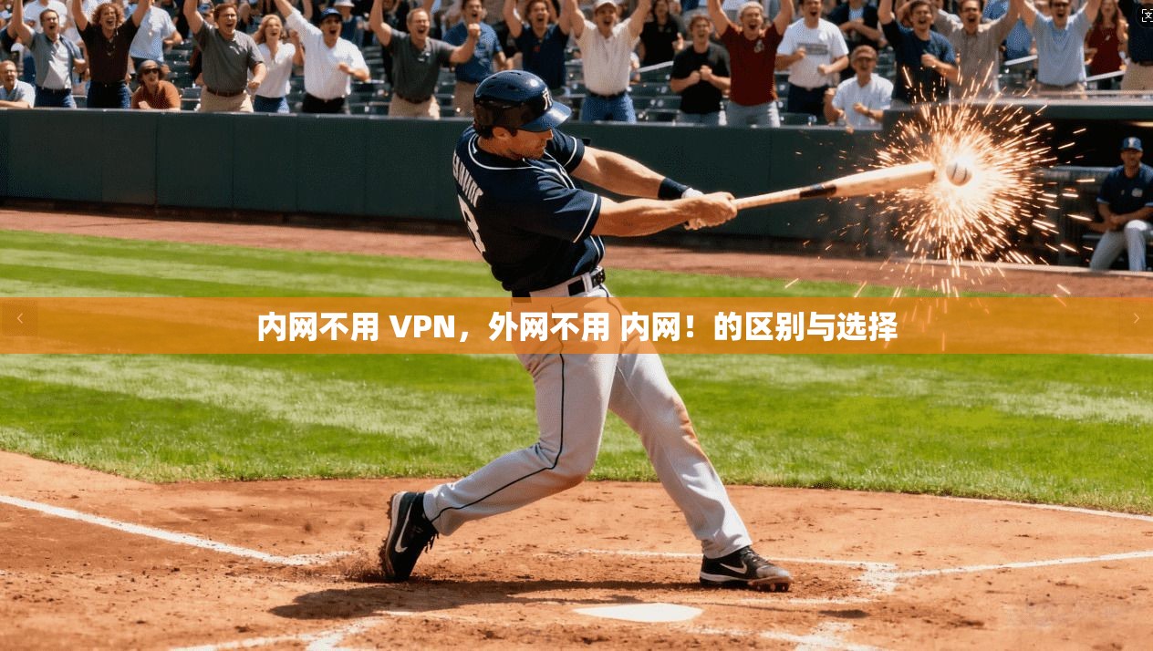 内网不用 VPN，外网不用 内网！的区别与选择