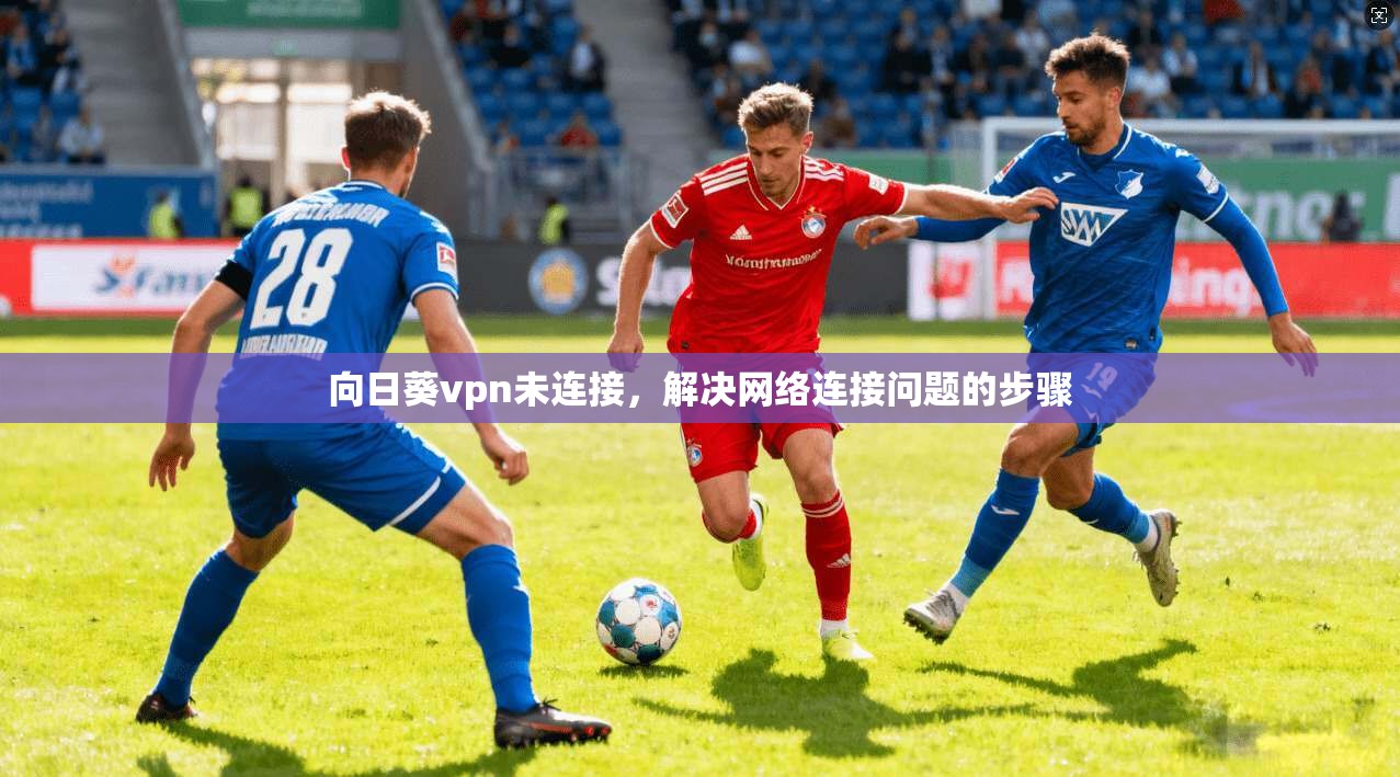 向日葵vpn未连接，解决网络连接问题的步骤