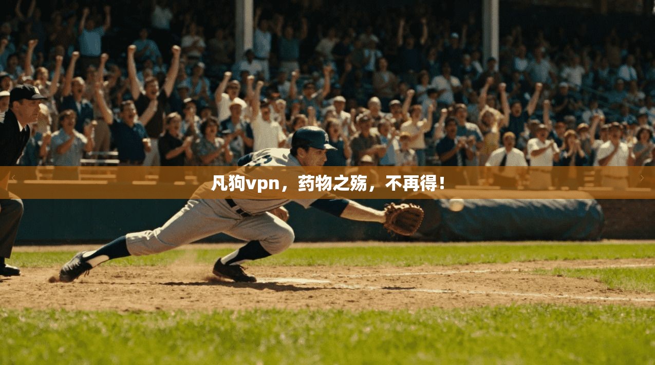 凡狗vpn，药物之殇，不再得！