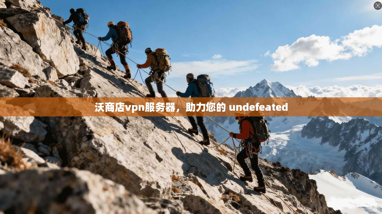 沃商店vpn服务器，助力您的 undefeated