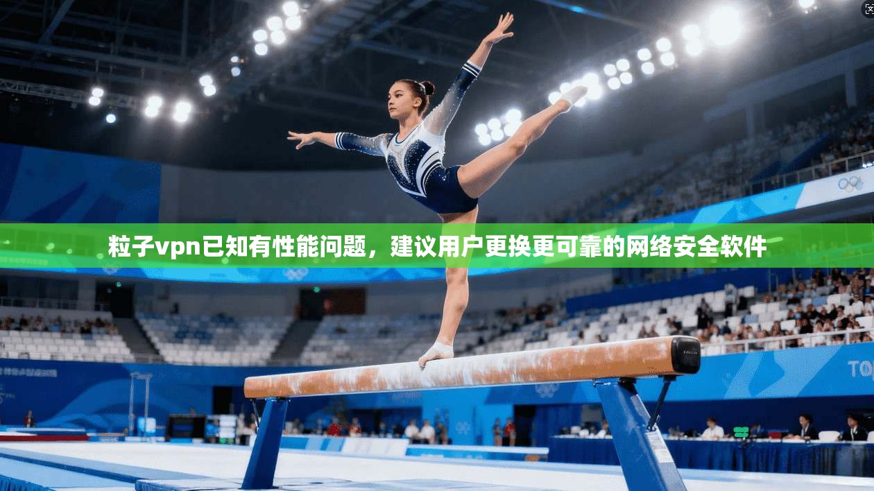 粒子vpn已知有性能问题，建议用户更换更可靠的网络安全软件