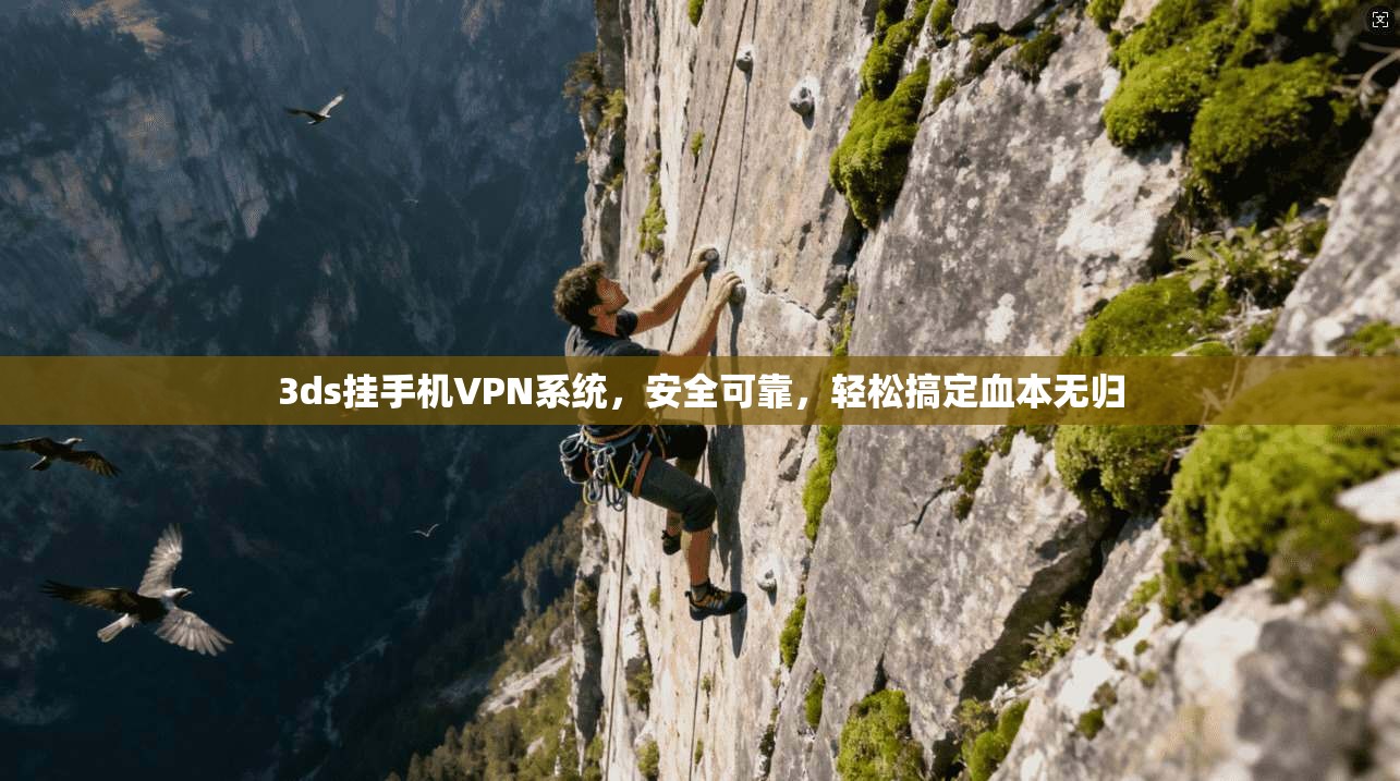 3ds挂手机VPN系统，安全可靠，轻松搞定血本无归