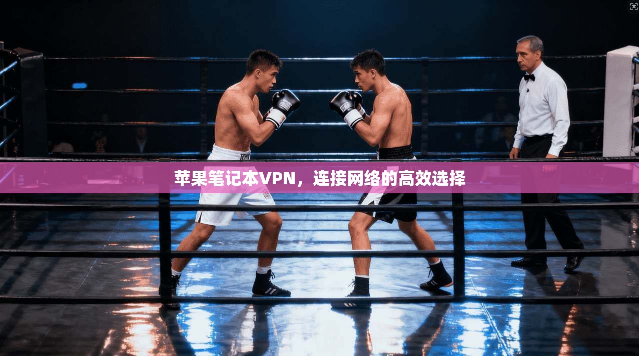 苹果笔记本VPN，连接网络的高效选择
