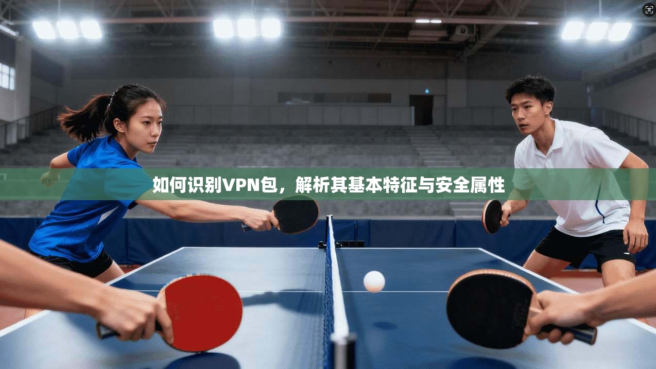 如何识别VPN包，解析其基本特征与安全属性
