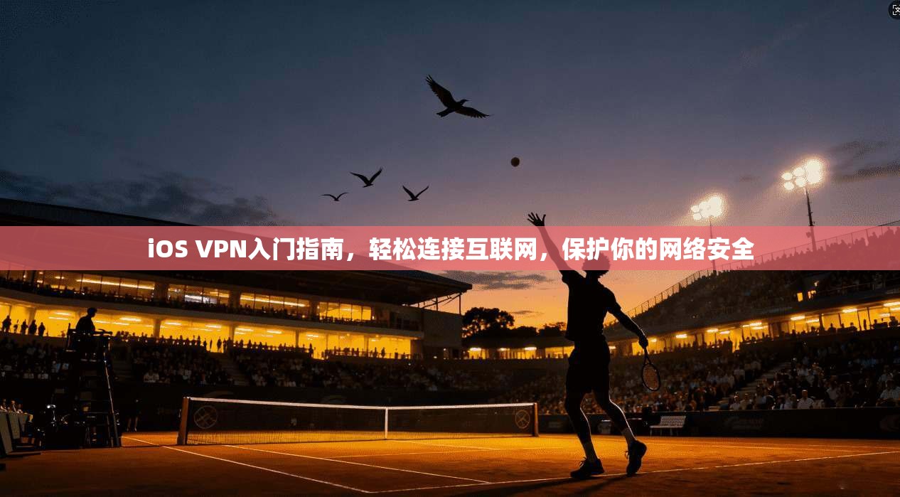 iOS VPN入门指南，轻松连接互联网，保护你的网络安全