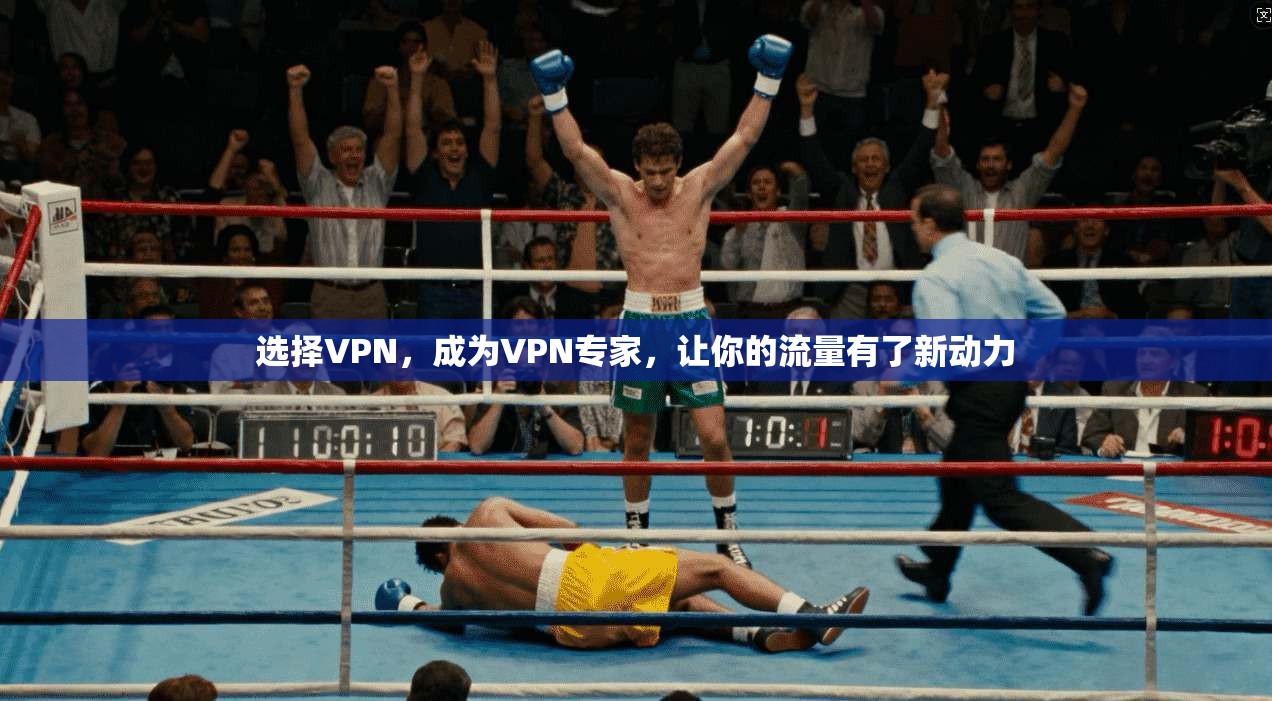 选择VPN，成为VPN专家，让你的流量有了新动力