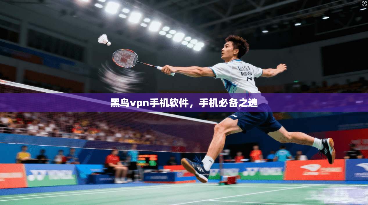 黑鸟vpn手机软件，手机必备之选