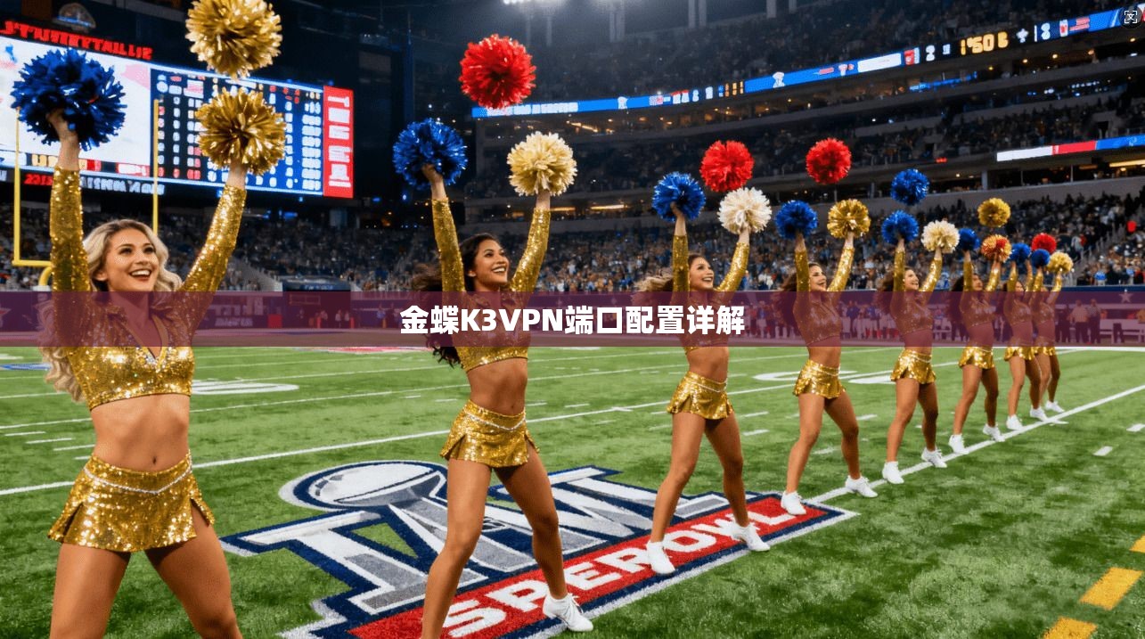 金蝶K3VPN端口配置详解