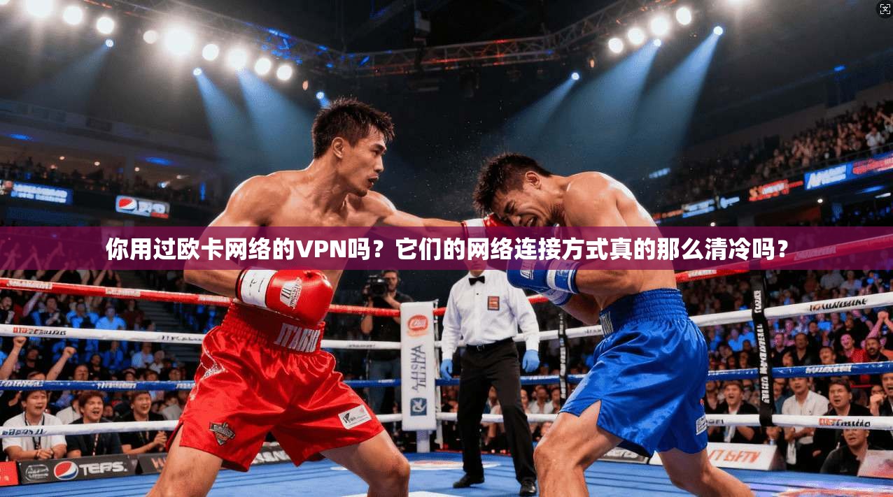 你用过欧卡网络的VPN吗？它们的网络连接方式真的那么清冷吗？
