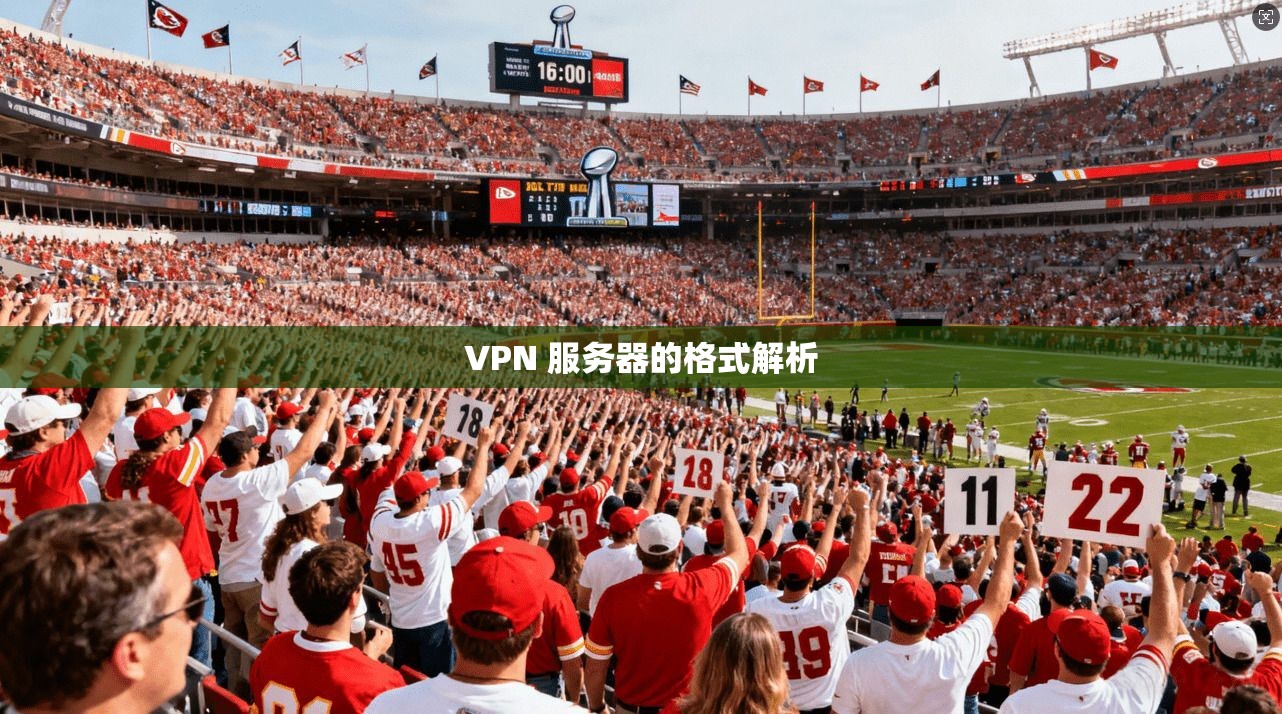 VPN 服务器的格式解析