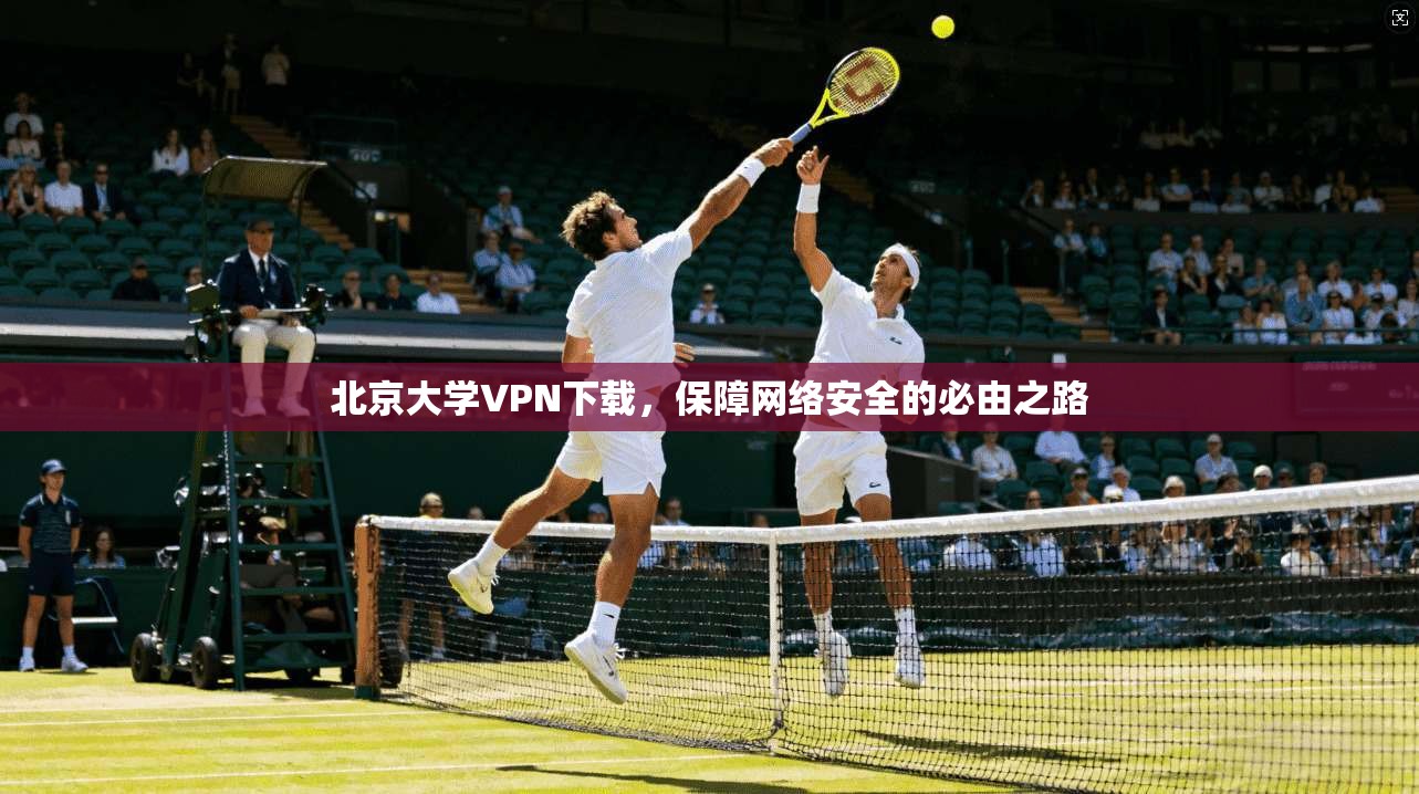 北京大学VPN下载，保障网络安全的必由之路