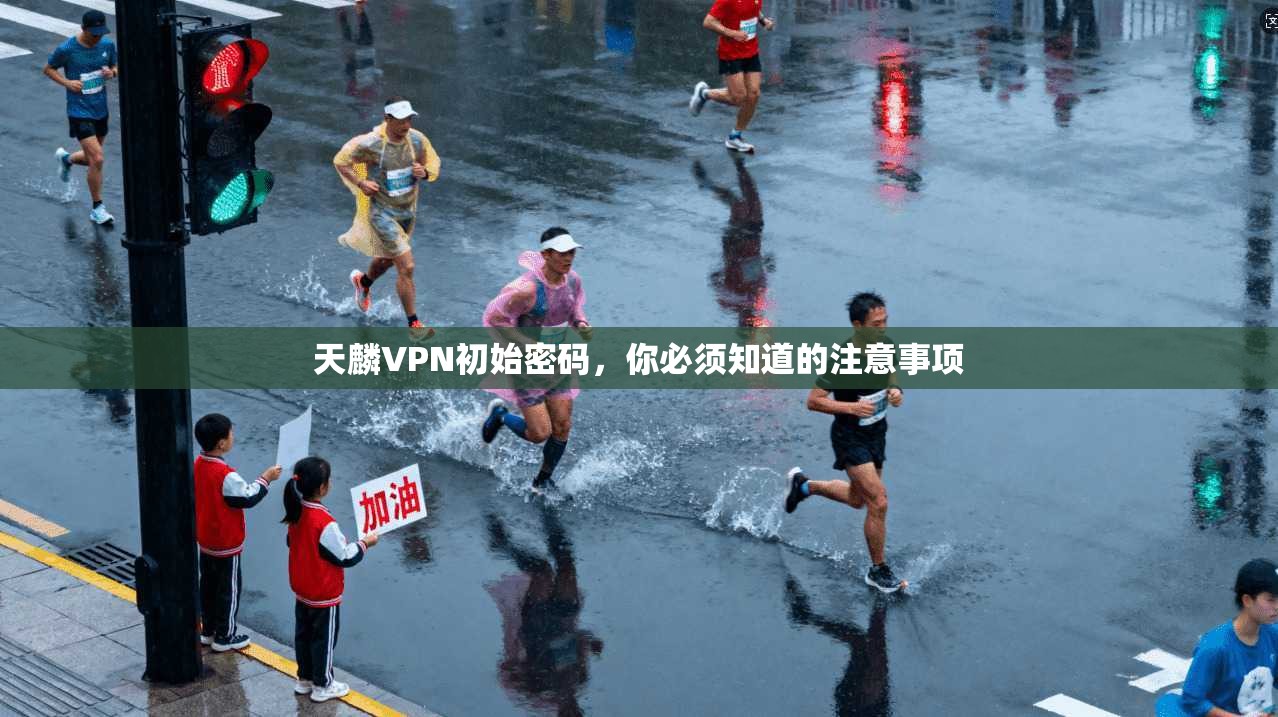 天麟VPN初始密码，你必须知道的注意事项