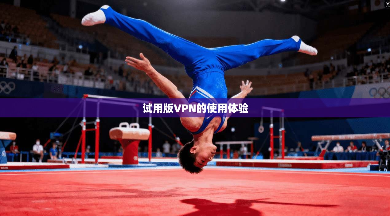 试用版VPN的使用体验