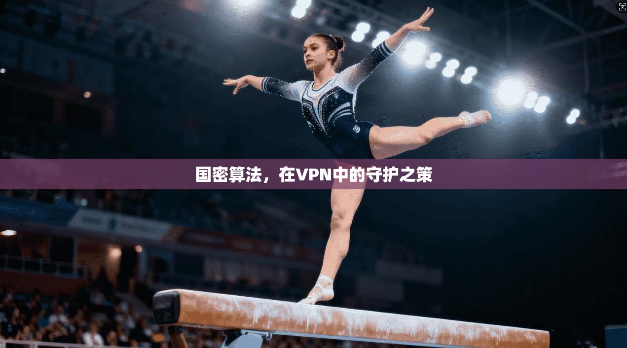 国密算法，在VPN中的守护之策