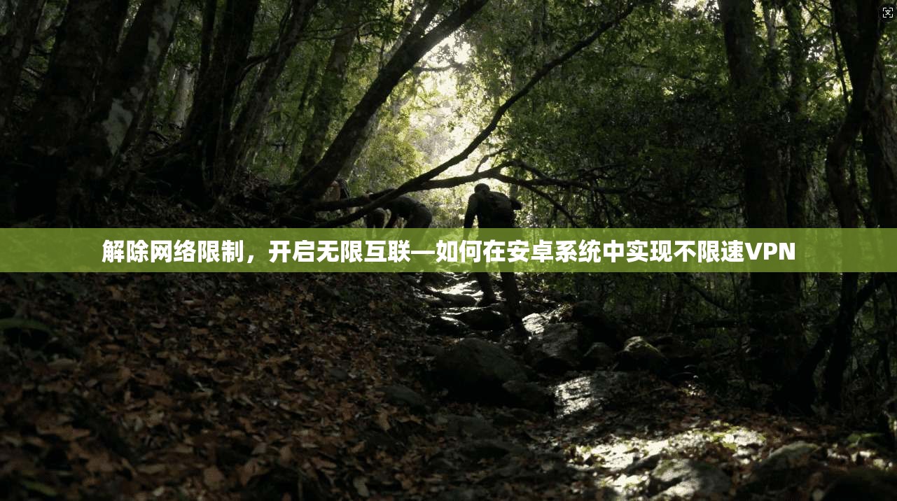 解除网络限制，开启无限互联—如何在安卓系统中实现不限速VPN