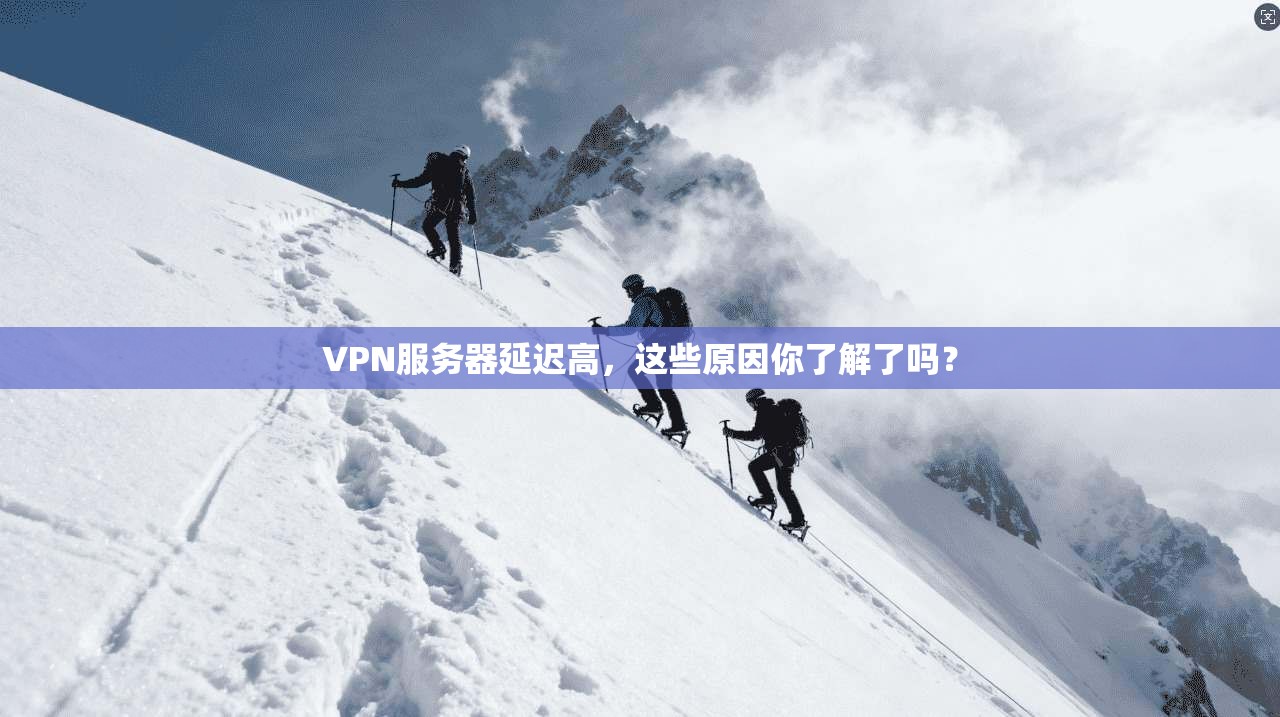 VPN服务器延迟高，这些原因你了解了吗？