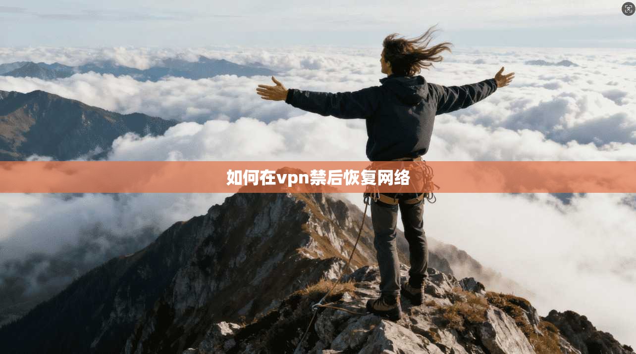 如何在vpn禁后恢复网络