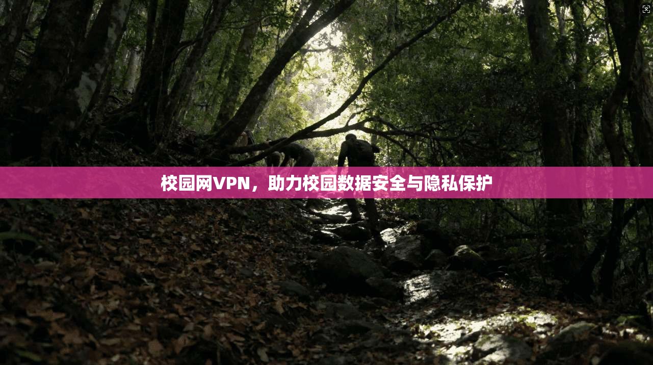 校园网VPN，助力校园数据安全与隐私保护