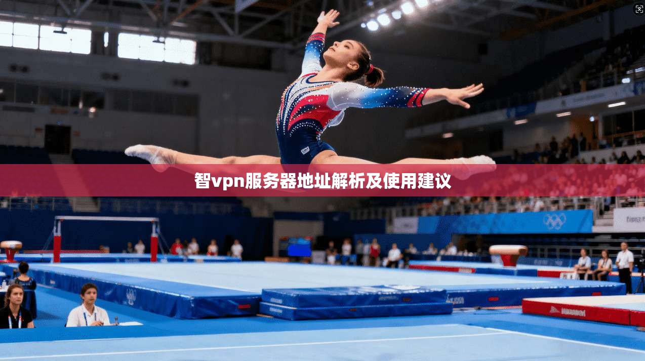 智vpn服务器地址解析及使用建议