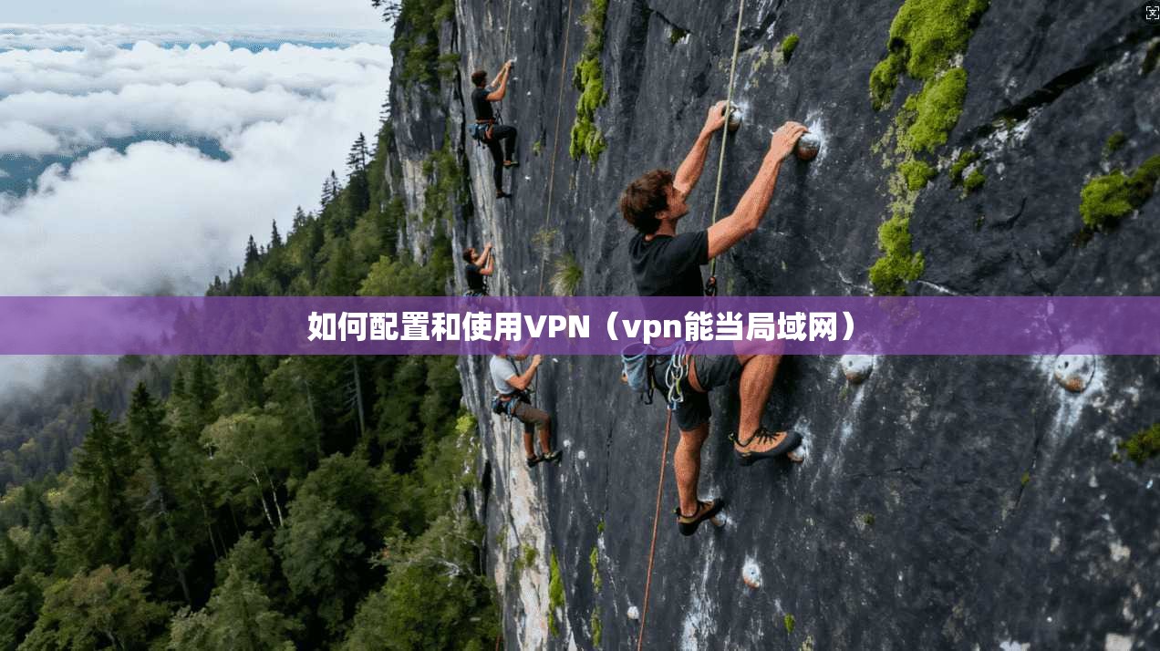 如何配置和使用VPN（vpn能当局域网）