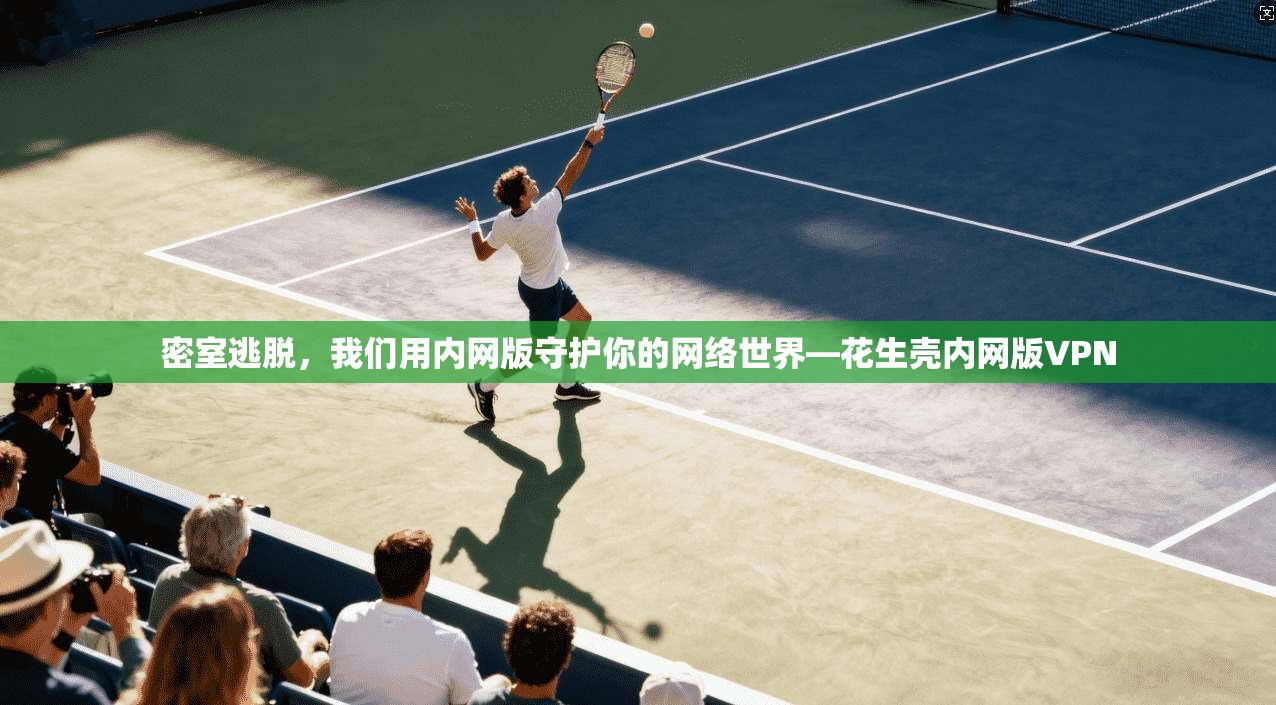 密室逃脱，我们用内网版守护你的网络世界—花生壳内网版VPN