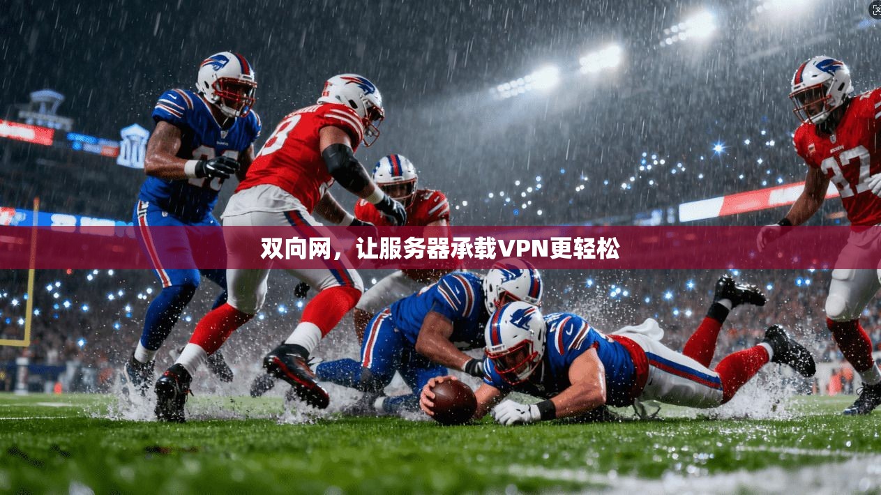 双向网，让服务器承载VPN更轻松