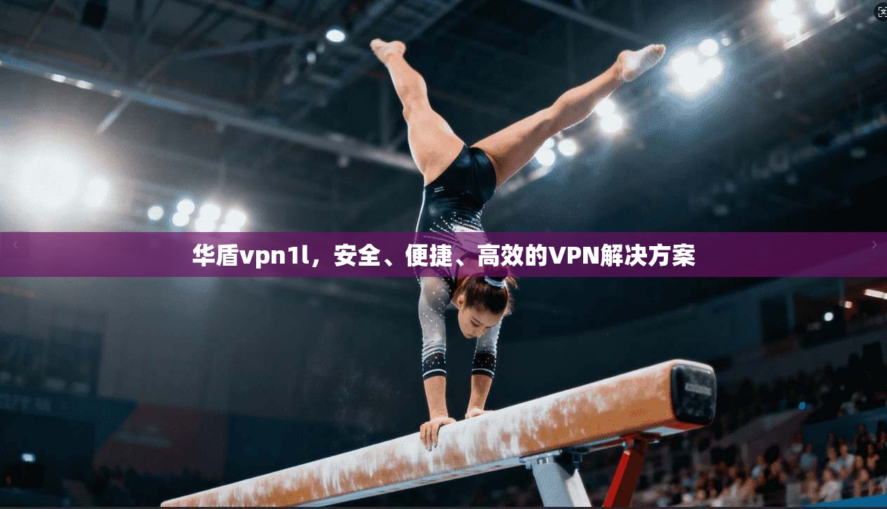 华盾vpn1l，安全、便捷、高效的VPN解决方案