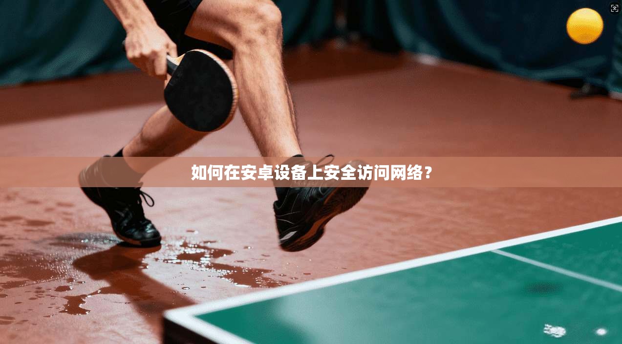 如何在安卓设备上安全访问网络？