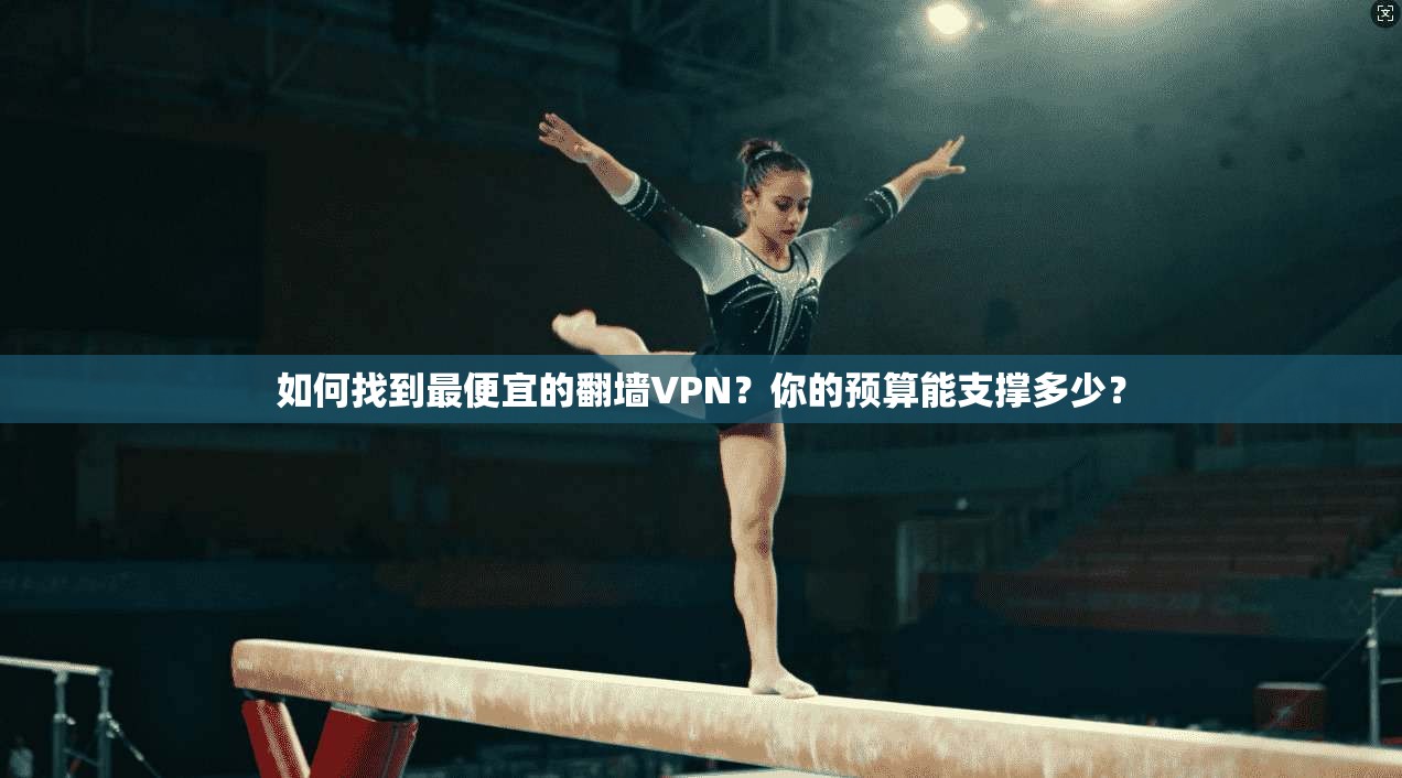 如何找到最便宜的翻墙VPN？你的预算能支撑多少？