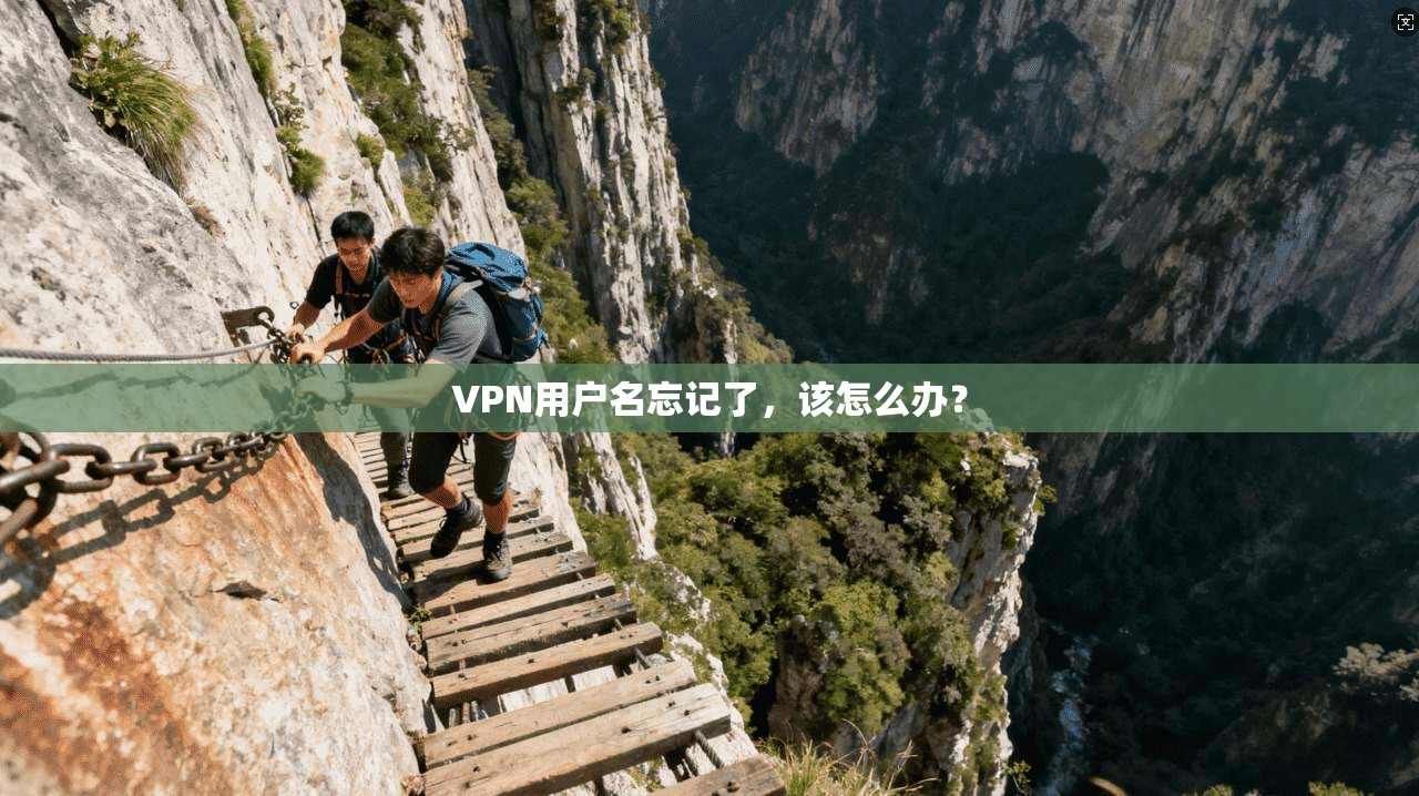 VPN用户名忘记了，该怎么办？