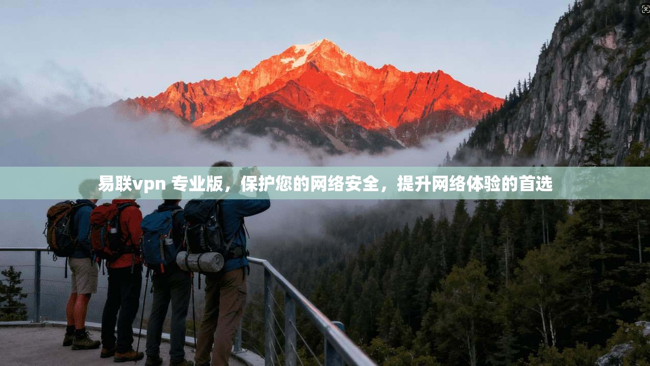 易联vpn 专业版，保护您的网络安全，提升网络体验的首选