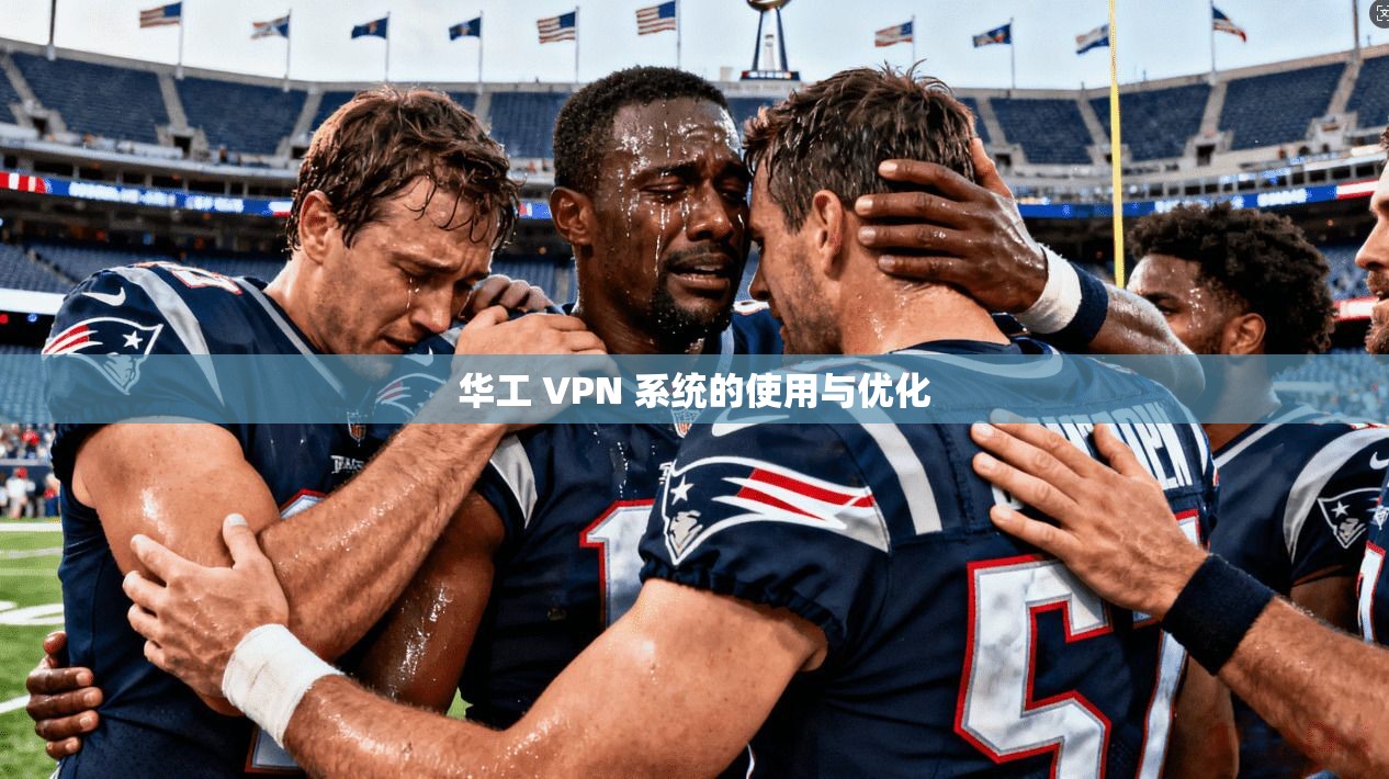 华工 VPN 系统的使用与优化