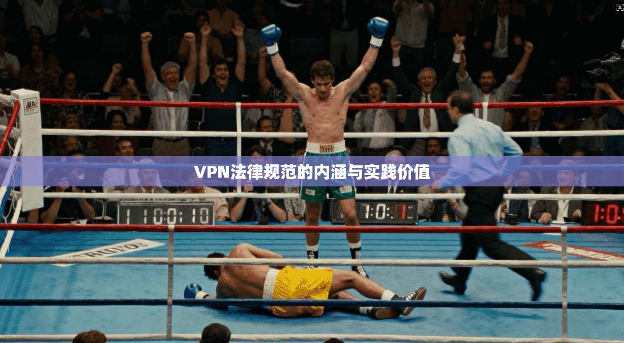 VPN法律规范的内涵与实践价值
