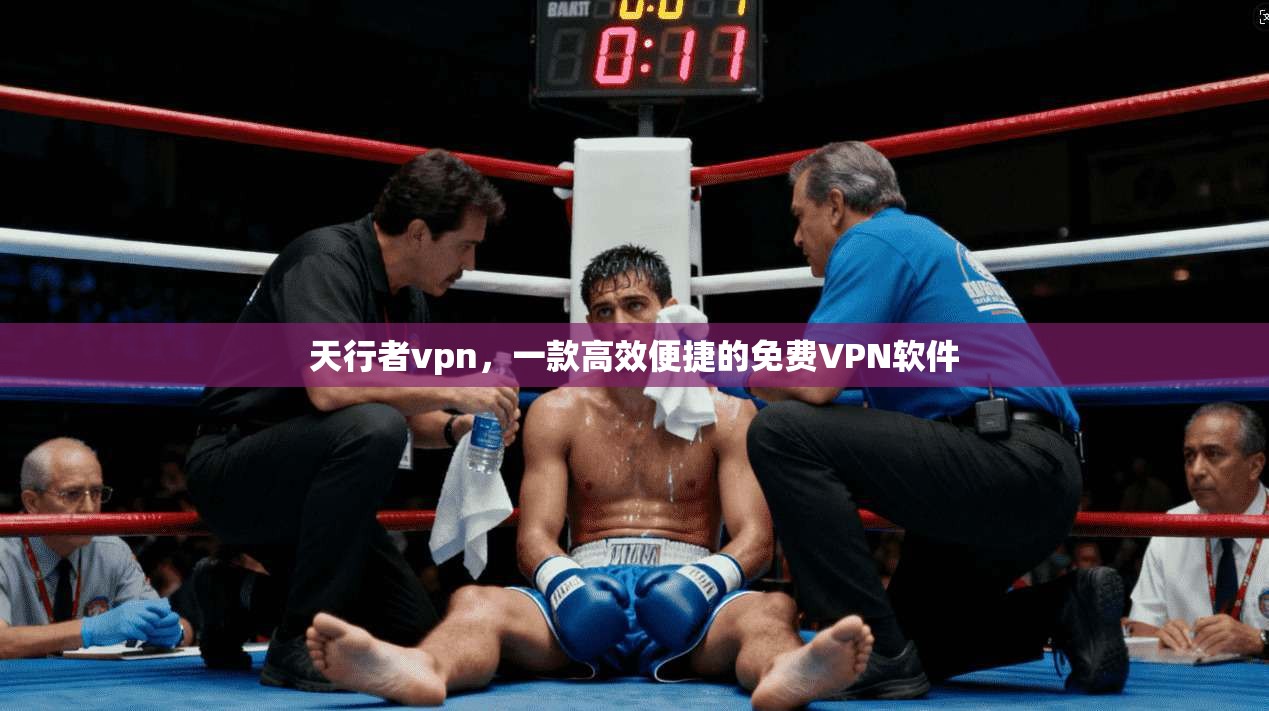天行者vpn，一款高效便捷的免费VPN软件