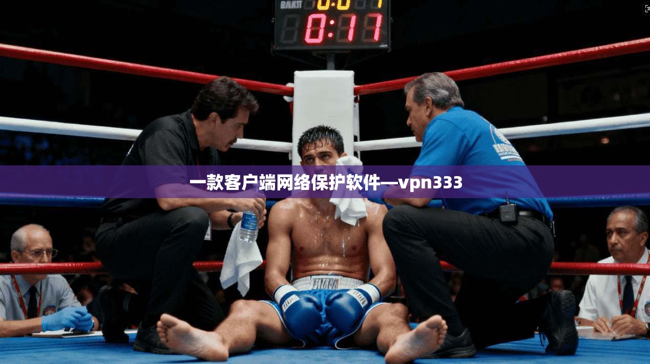 一款客户端网络保护软件—vpn333