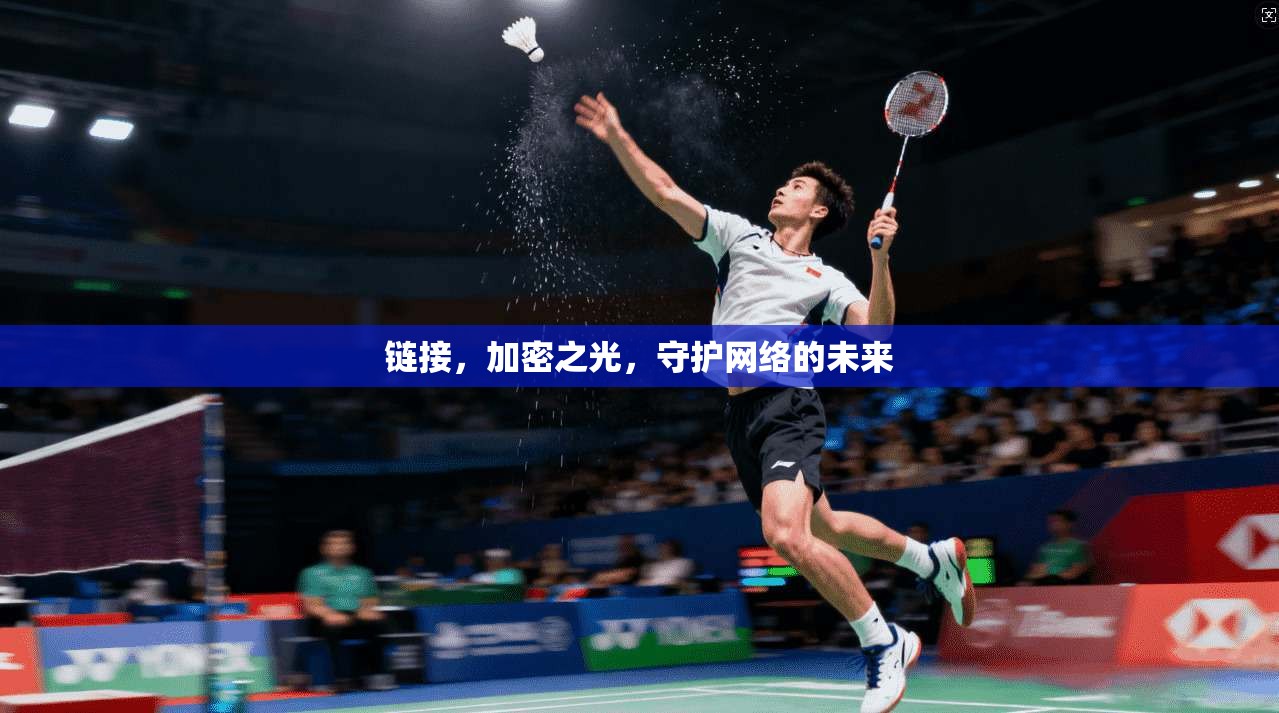 链接，加密之光，守护网络的未来