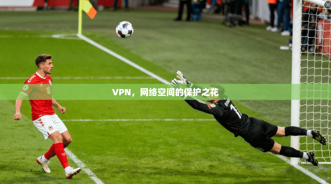VPN，网络空间的保护之花