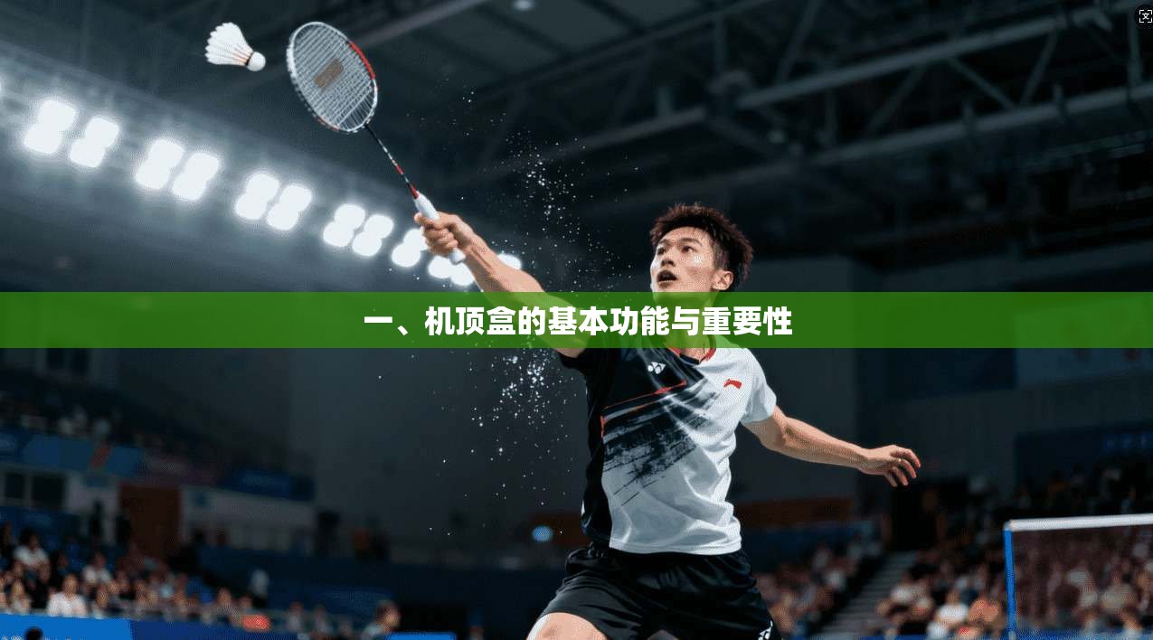 一、机顶盒的基本功能与重要性